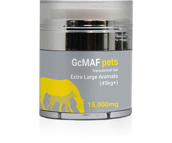 15,000mg GcMAF Transdermal Gel for Extra-large animals