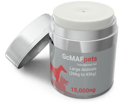 15,000ng GcMAF Transdermal Gel for Large animals (26-45kg)
