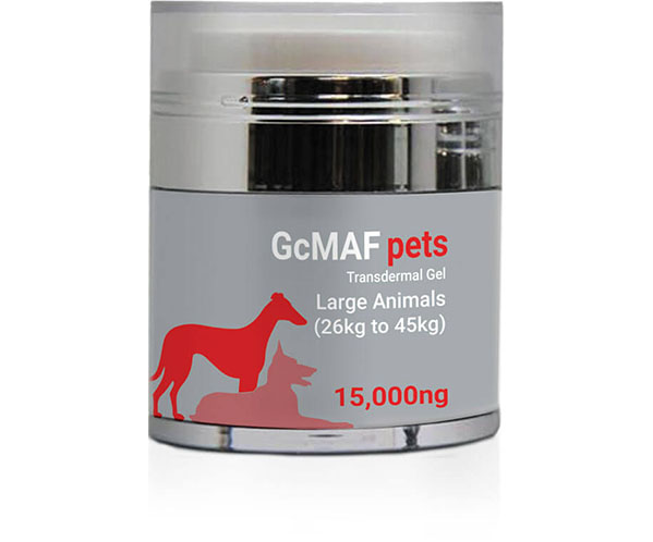 15,000ng GcMAF Transdermal Gel for Large animals (26-45kg)